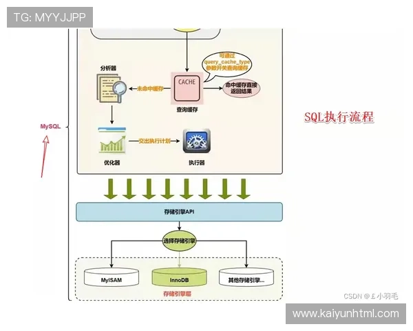 全面解析KY体育在线登录流程与常见问题解决方案助你快速顺利登录体验无限精彩